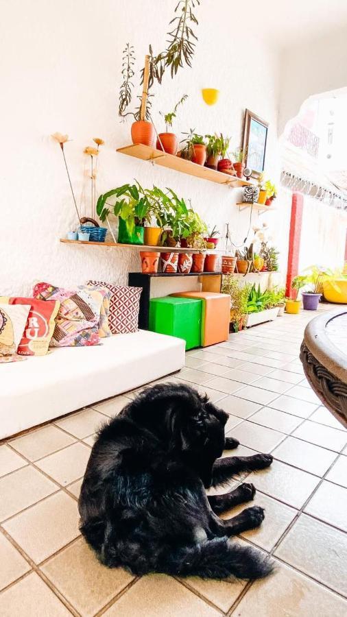 Zili Pernambuco - Hostel Pousada Recife Luaran gambar